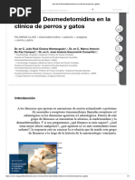 Uso de La Dexmedetomidina en La Clínica de Perros y Gatos