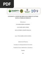 Análisis de La Gestión Del Riesgo Financiero en Las Pymes Manufactureras de Medellín