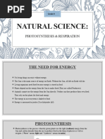 Grade 8 NS - Photosynthesis