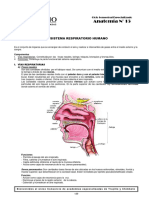 Práctica de Sistema Respiratorio #14