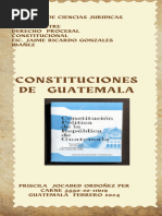 Infografia Derecho Constitucional 2024