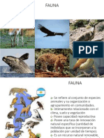 06 Medio Natural Fauna