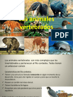 T5. Los Animales Vertebrados 2024-01-18 06-18-26 1