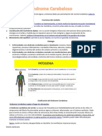 TEMA 10. Síndrome Cerebeloso