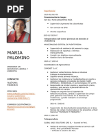 Curriculum Vitae Doc - María Palomino