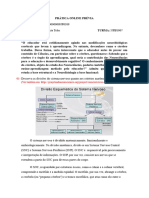 26.01.2024 Prática On Line Prévia Neuropsicologia