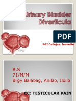 Bladder Diverticula