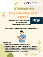 PROYECTO INTEGRADOR ETAPA 3 Bioetica y Profesionalismo