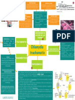 Chlamydia Trachomatis Eq8 Mapa