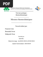 TP Mesure Thermochimique