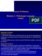 Pathologies Tumorales