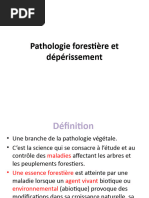 Pathologie Forestière