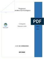 Informe CTPdeCorredores - PBAE