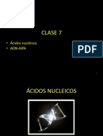 Clase 7. Acidos Nucleicos