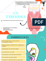 US - Tiroides