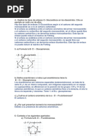 Tema 2 Glúcidos Ejercicios