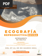 CURSO Ecograf (Ia Programa 2024feb