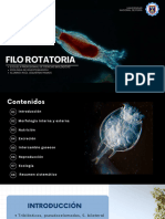 Filo Rotifera - Izquierdo Ramos, Raul