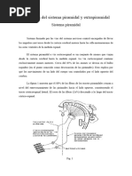 Sistema Piramidal