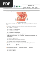 6 - Questão de Aula-9º-V2