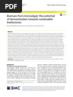 Biomass From Microalgae: The Potential of Domestication Towards Sustainable Biofactories