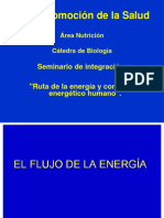 Ruta de La Energia y Consumo Energetico Humana 2017