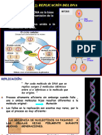Replicación