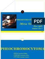 Pheochromocytoma