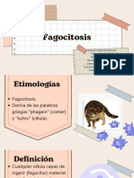 Fagocitosis