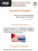 Modelo Kerly Control Prenatal