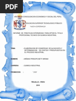 Informe de Alcachofa