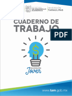 Cuaderno de Trabajo InversiÃ N Joven 2020