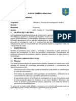 Anexo MODELO PLAN DE TRABAJO SEMESTRAL 2024