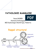 Tumeurs Du Sein PDF