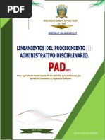 Directiva Pad - Pueblo Nuevo Ok