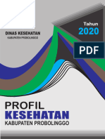 3513 Jatim Kab Probolinggo 2020