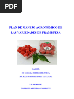 Plan Agronomico de Las Variedades Frambuesa MALU ALEXA Y MAYATecnico