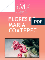 Ramos 14 (Flores de Maria) - Comprimido