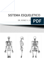 Sistema Esqueletico