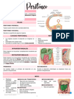 Peritoneo Abdomen (Ap)