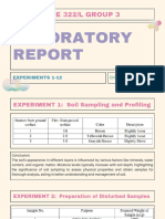 Minimalist Gradient Thesis Report Presentation