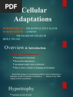 Cellular Adaptations 