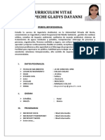 Curriculum Vitae Veliz Peche Gladys Dayanni: Perfil Rpofesional