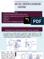 3 Carpeta de Embriología