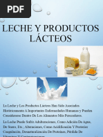 5-Leche y Productos Lacteos