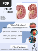 Wils Tumor