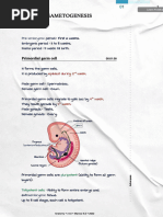 01.anatomy Sample