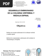 Seminario Embriologia de La Columna y Medulo Espinal Alexis Sanchez 2024