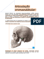 Articulação Temporomandibular