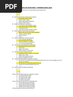 Primera Mesa Anatomia 2019